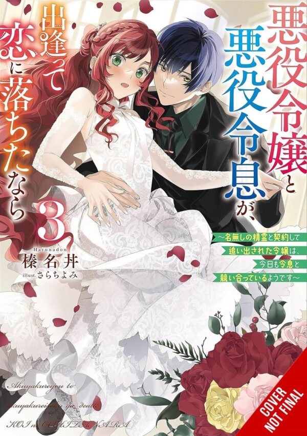 If the Villainess and Villain Met and Fell in Love, Vol. 3 (light novel)