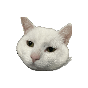 catload