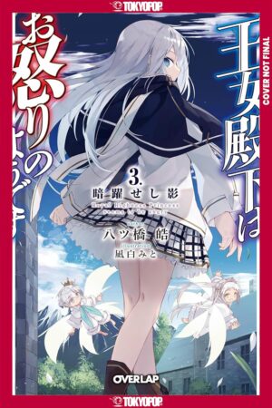 Her Royal Highness Seems to Be Angry, Volume 3 (Light Novel)