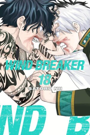 WIND BREAKER 18